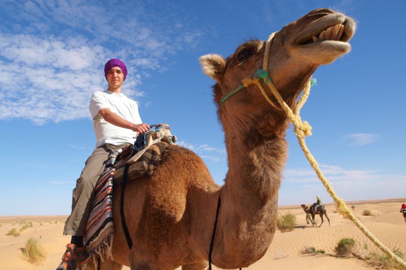 Méharée Saharienne