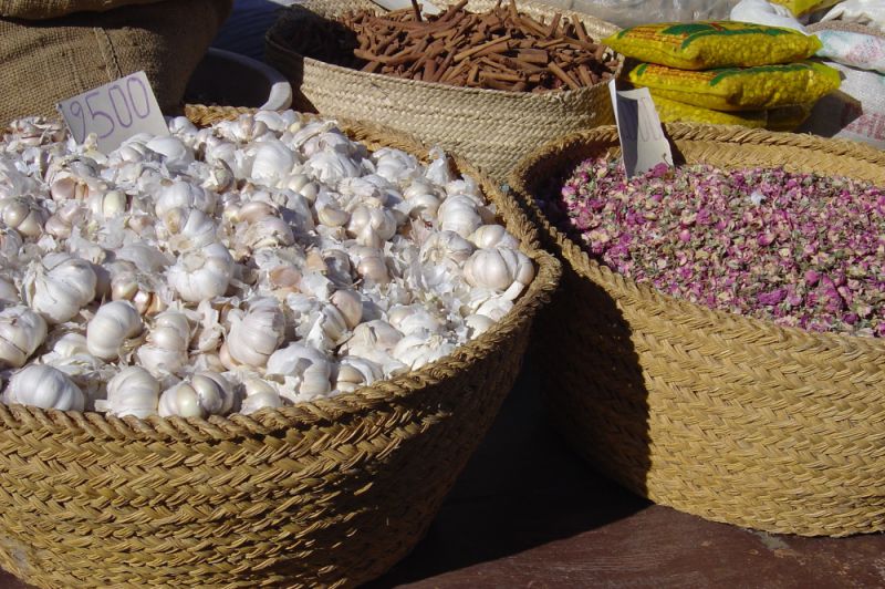 Festival du Sahara à Douz